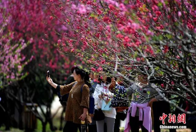 福州踏青哪里风景更美？看这条微信就知道了！