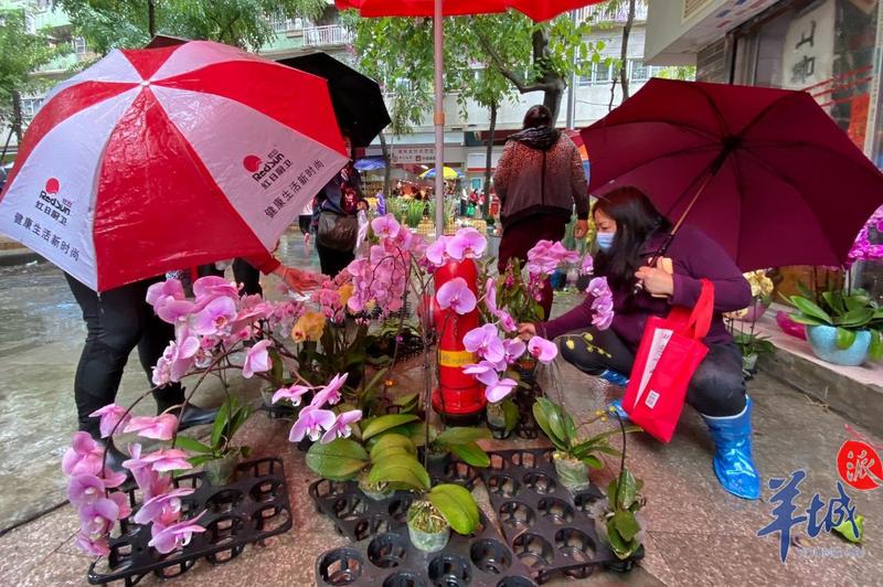 街拍｜年廿九买年花！大雨中，广州街坊买买买