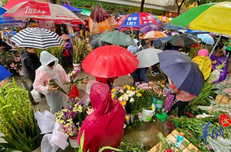 街拍｜年廿九买年花！大雨中，广州街坊买买买