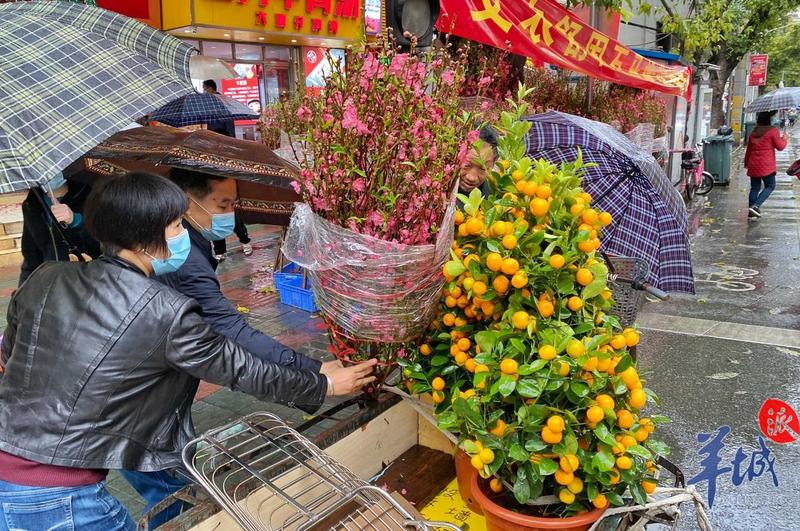 街拍｜年廿九买年花！大雨中，广州街坊买买买