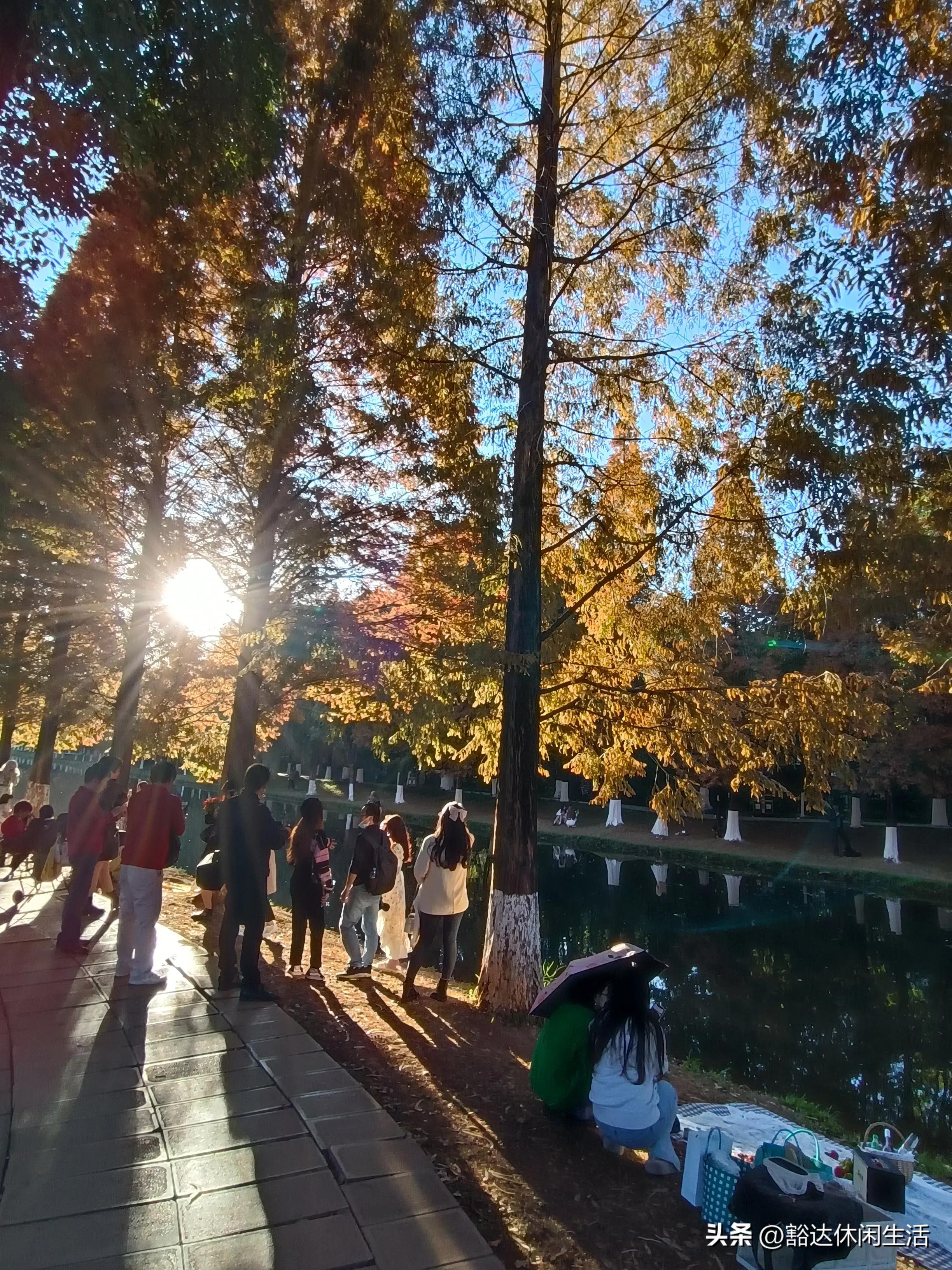 走遍昆明，昆明现在最火拍照地，漂亮小姐姐比赶集的人还多