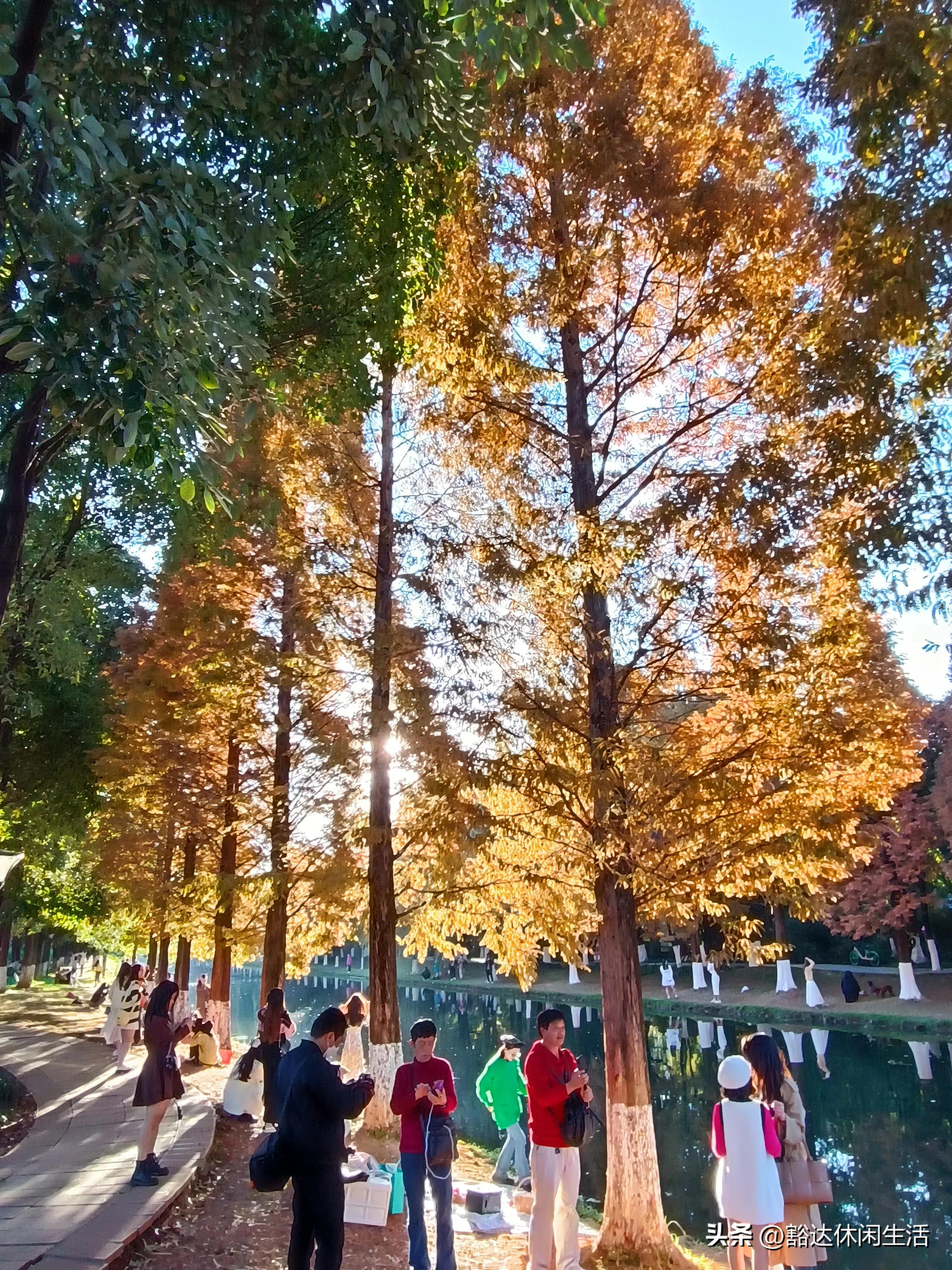 走遍昆明，昆明现在最火拍照地，漂亮小姐姐比赶集的人还多