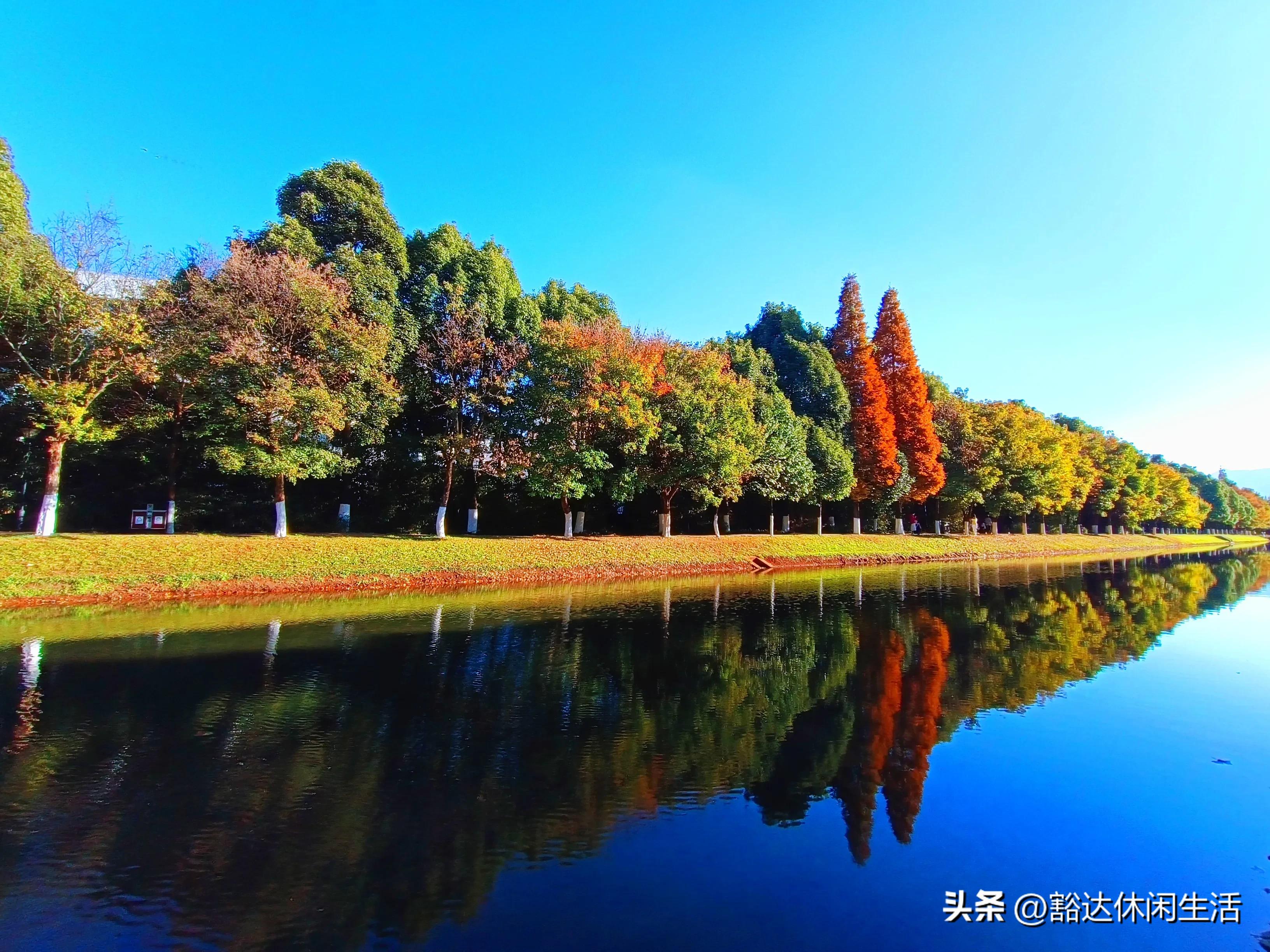 走遍昆明，昆明现在最火拍照地，漂亮小姐姐比赶集的人还多