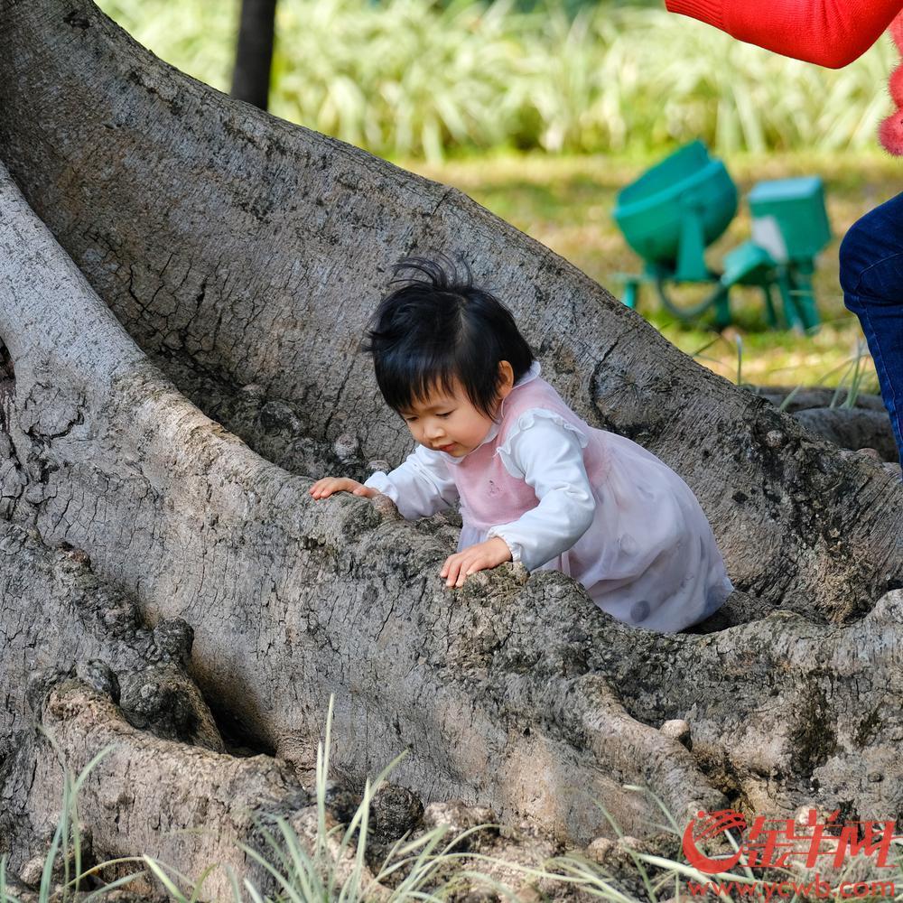 街拍：没错是26℃，这就是广州的春天，街坊直接换短袖