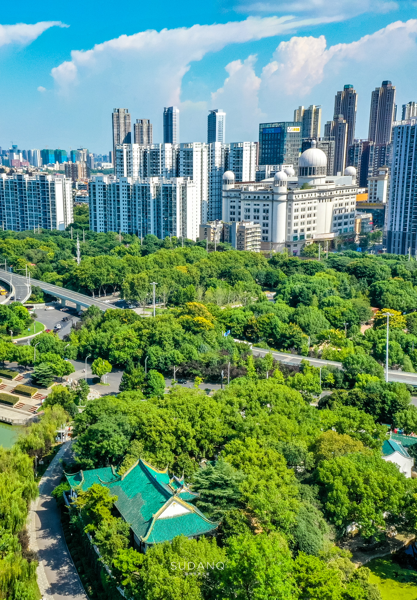 武汉“脏乱差”？城市变化太快，总长度达4100公里的林荫路太美