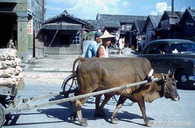 50年代的台湾街拍，找一下亮点证明是炎黄子孙