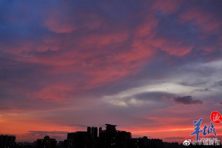 今日夏至！看广州街拍，宁静的夏，广州的美