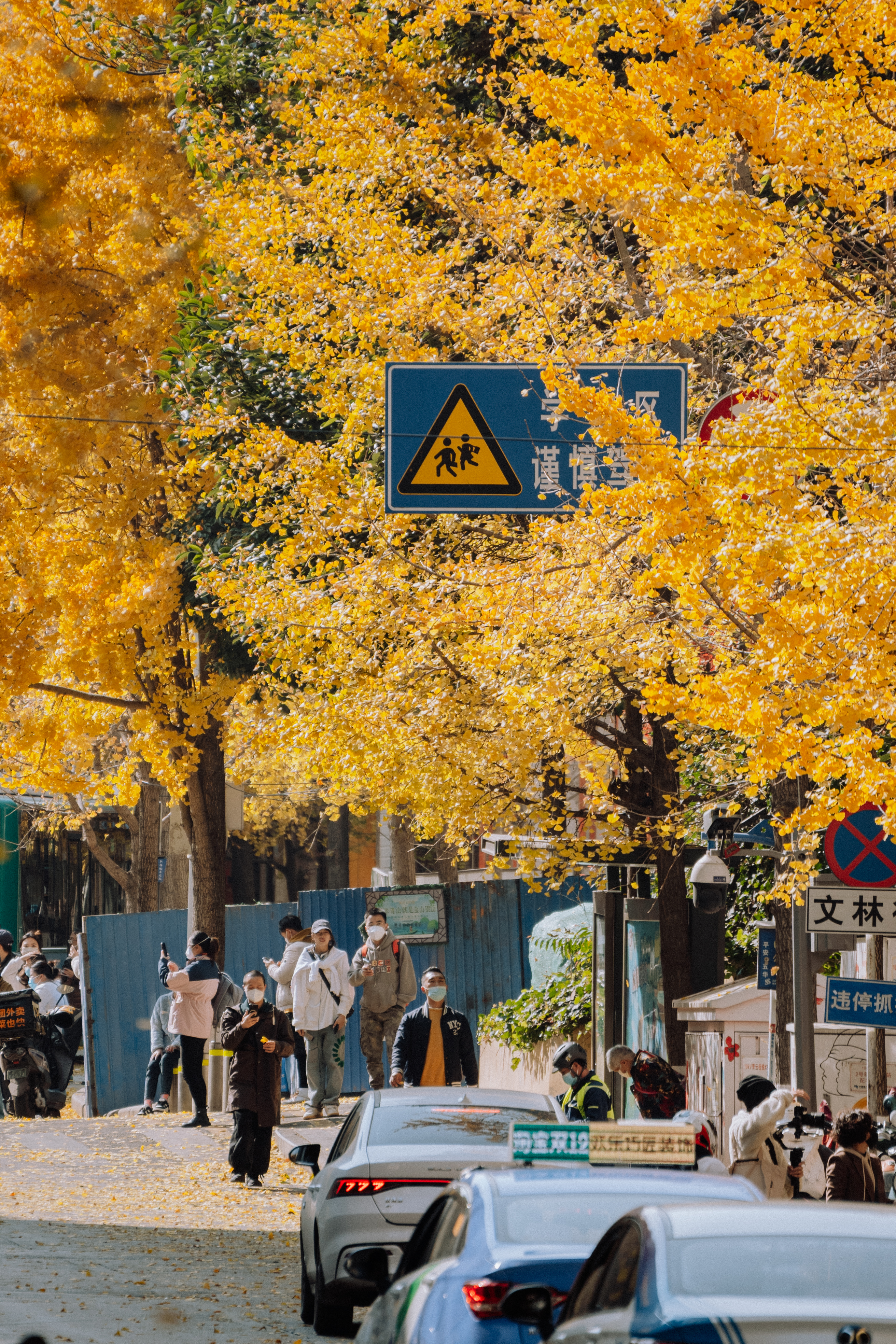 组图|实名羡慕昆明人 每个季节都有风景可以期待