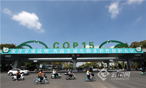 「高清组图」昆明街头花枝招展、花团锦簇迎接COP15盛会