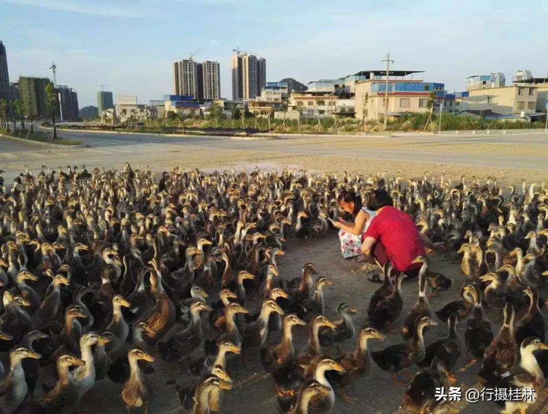 每周晒图｜我的街拍， 你的故事