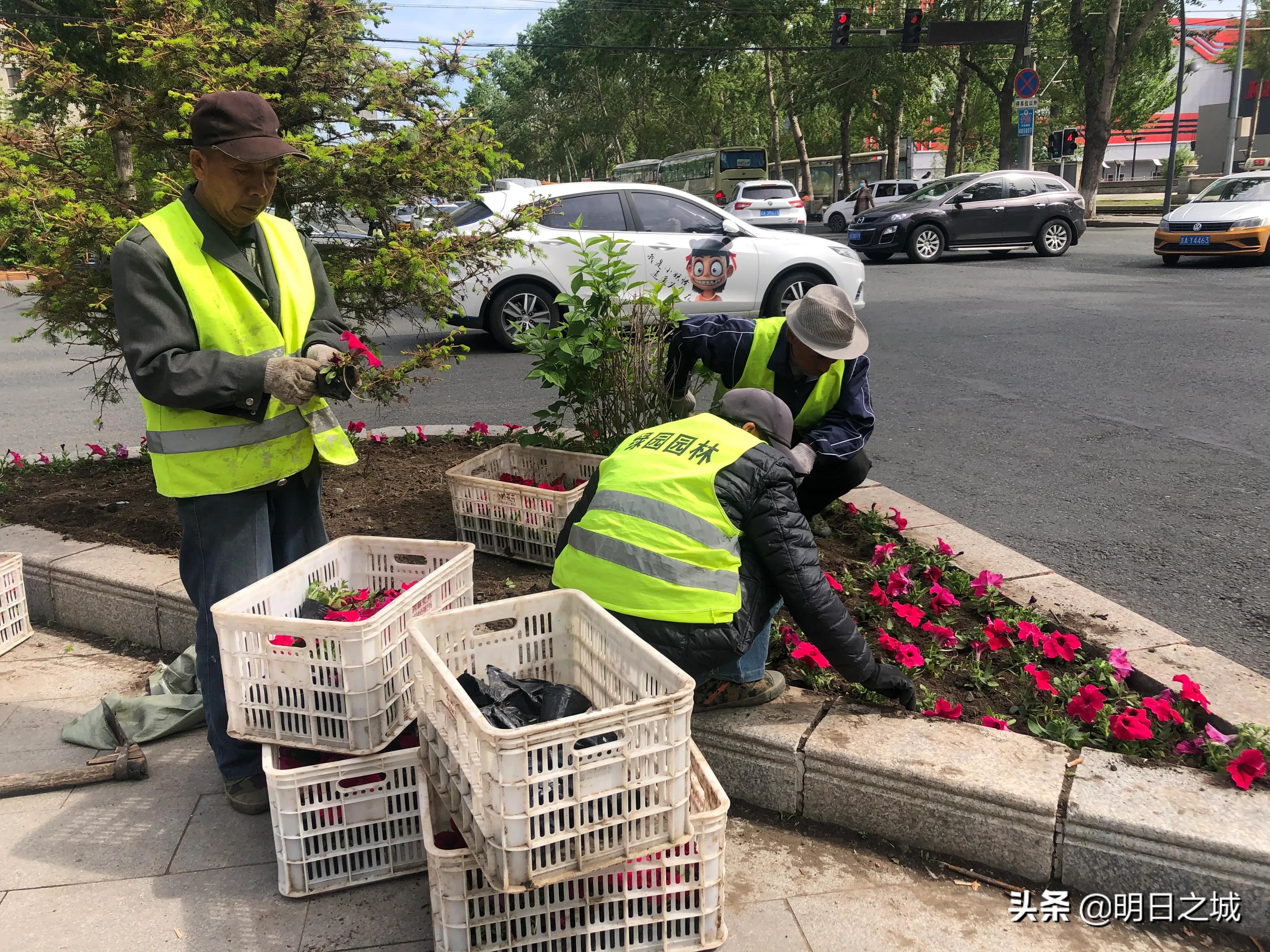 曝光！长春街头这些人的一举一动都被拍了下来