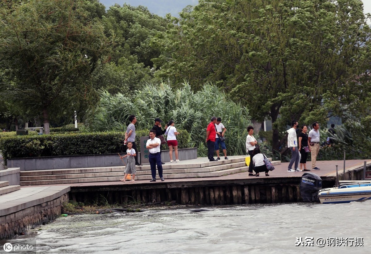 这十条大街小巷最南京，每一条承载着古都的记忆，都去过算你牛