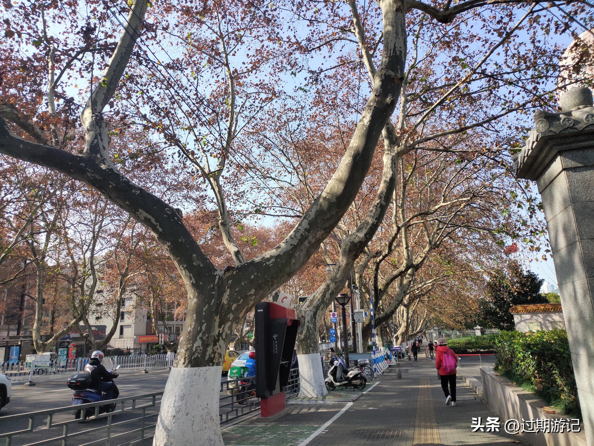 在南京街头散步，用双脚丈量风景，感受金陵秋色