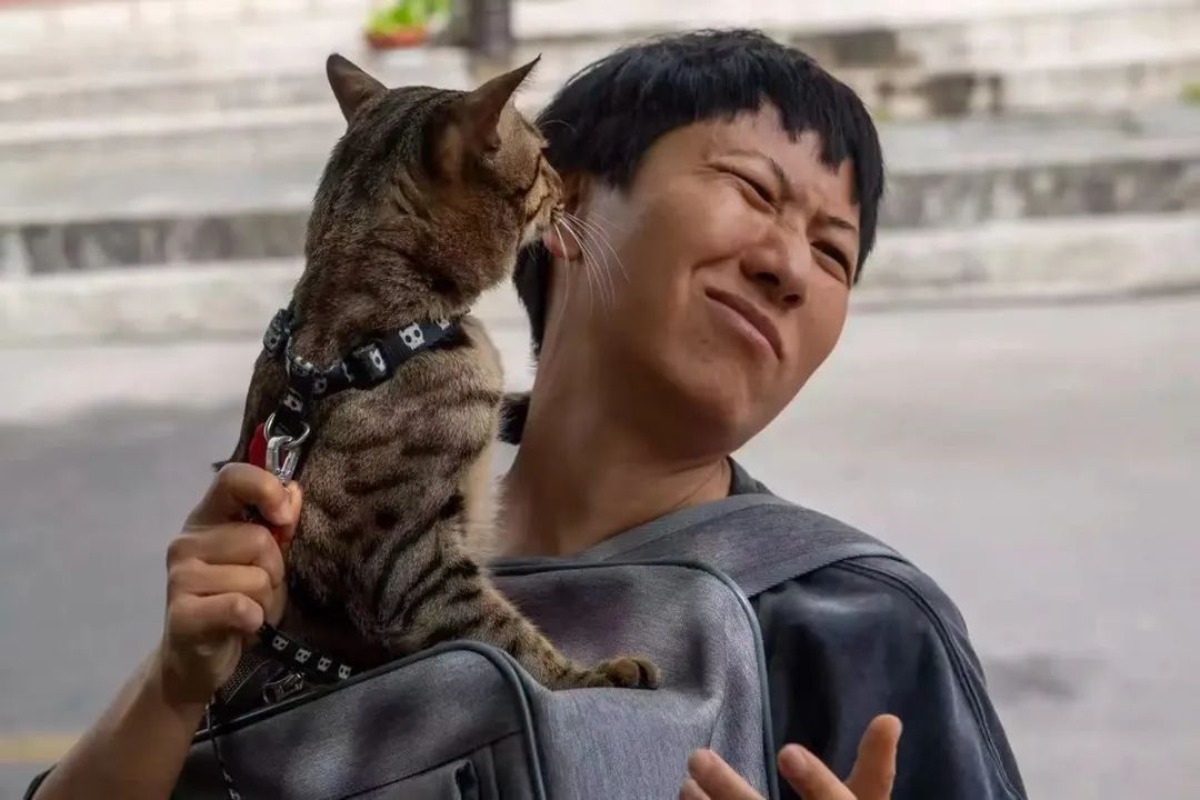 街拍纪事Vol.12：爱与不爱 不悲不喜——人间有猫