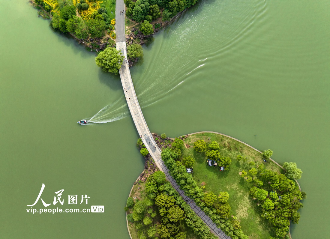 安徽合肥：初夏翡翠湖公园水清岸绿景美