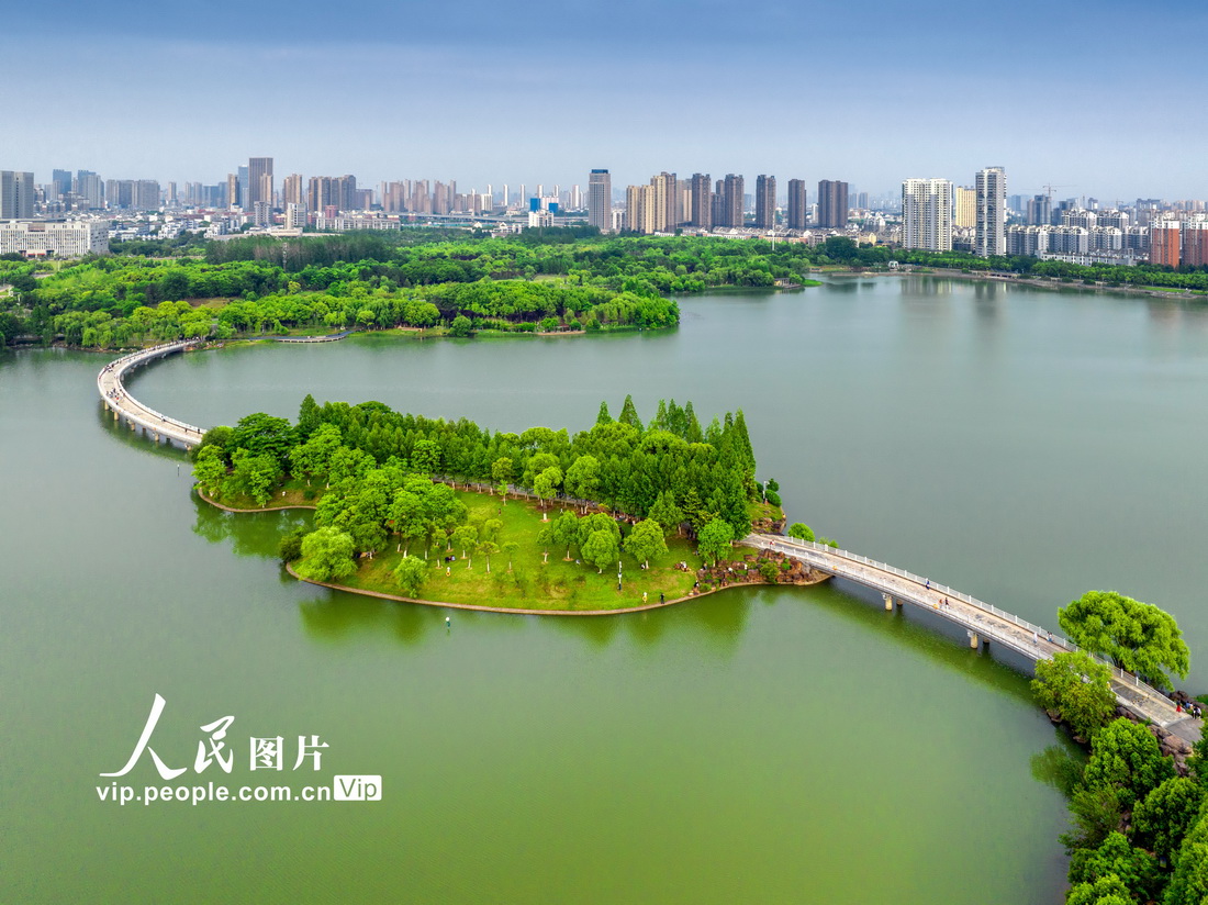 安徽合肥：初夏翡翠湖公园水清岸绿景美