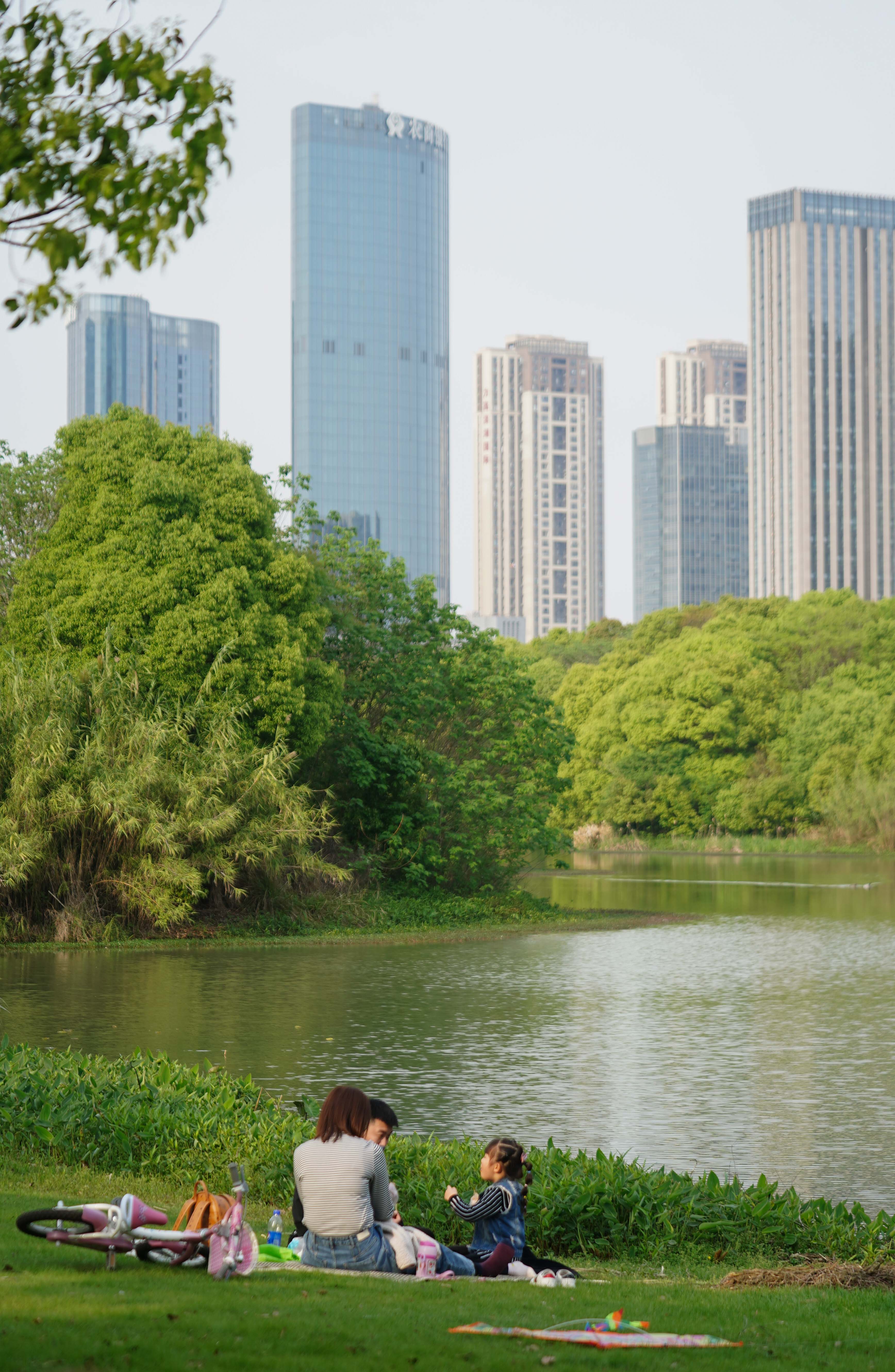 （新华全媒+）大美湿地城市丨南昌