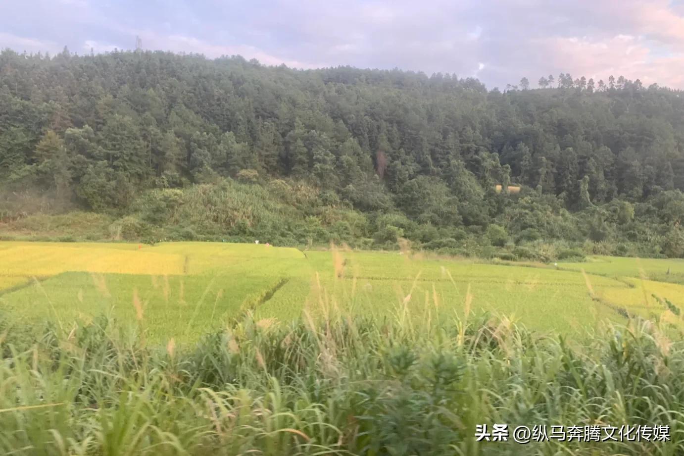 人生的路上没有终点，百越之地邕城南宁的奇妙旅程