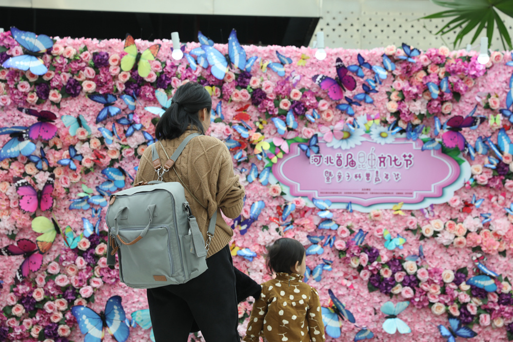 「街拍石家庄“双十一”」大型昆虫科普展连办10天 3万昆虫大聚会