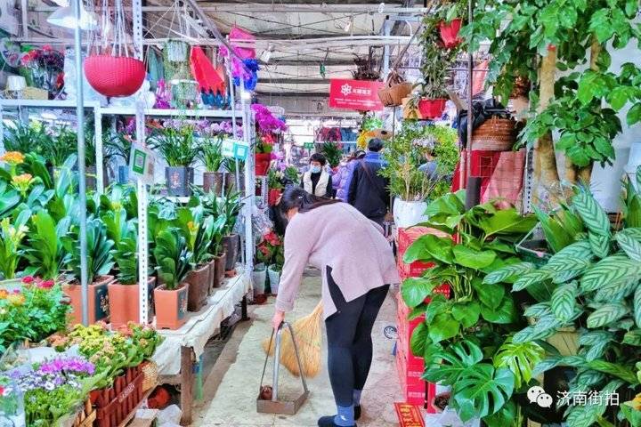 过年啦，济南街拍带你逛花市｜连逛了四个大型花卉市场