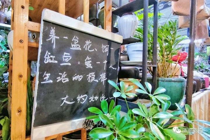 过年啦，济南街拍带你逛花市｜连逛了四个大型花卉市场