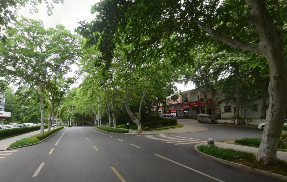 武汉城区最有意境马路：一公里路程种满梧桐树，学生专用街拍圣地