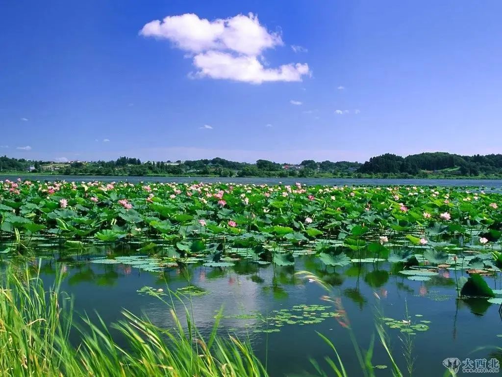 梦醒见芳华 邂逅精致兰州