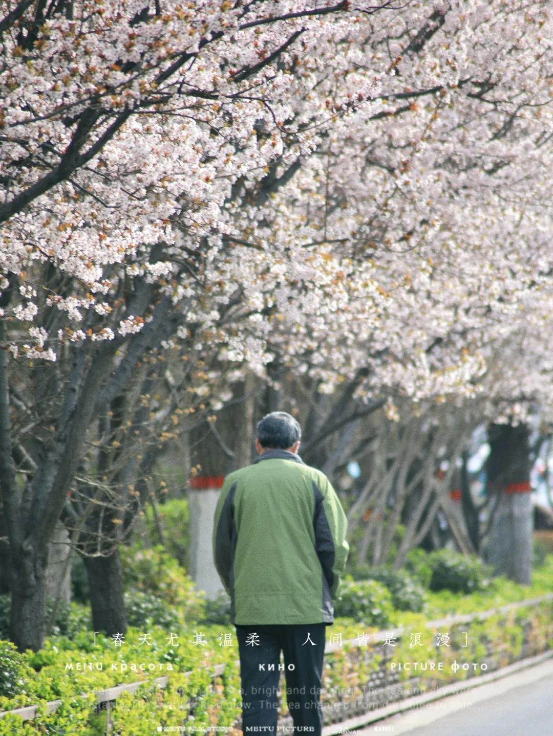 街拍迎泽丨花已成海、春色满城，这里藏着春天最美好的风景