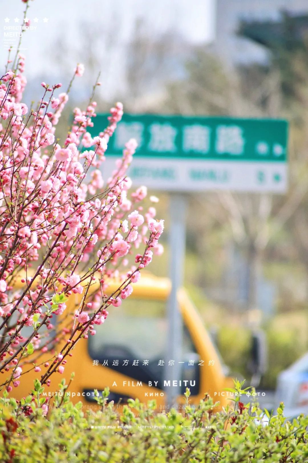 街拍迎泽丨花已成海、春色满城，这里藏着春天最美好的风景