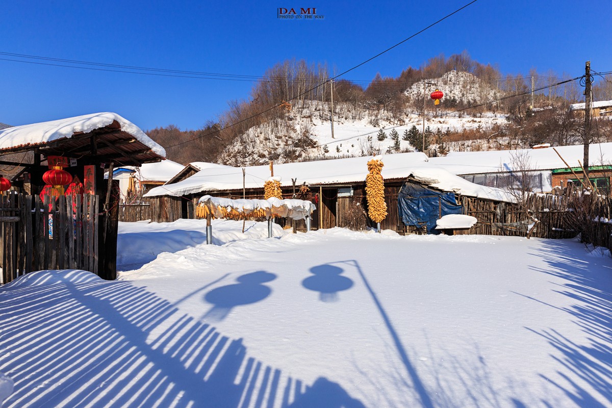 越冷越往北，去雪国感受真正的冬天