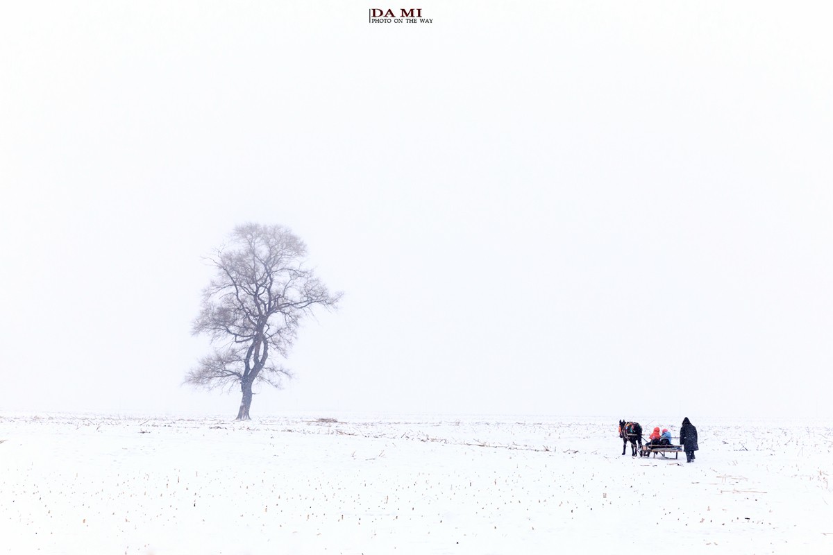 越冷越往北，去雪国感受真正的冬天