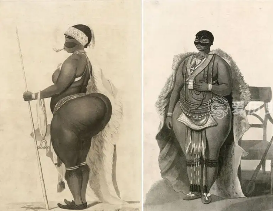 南非女孩因臀部“突出”，被骗到欧洲做动物展览，死后187年安葬