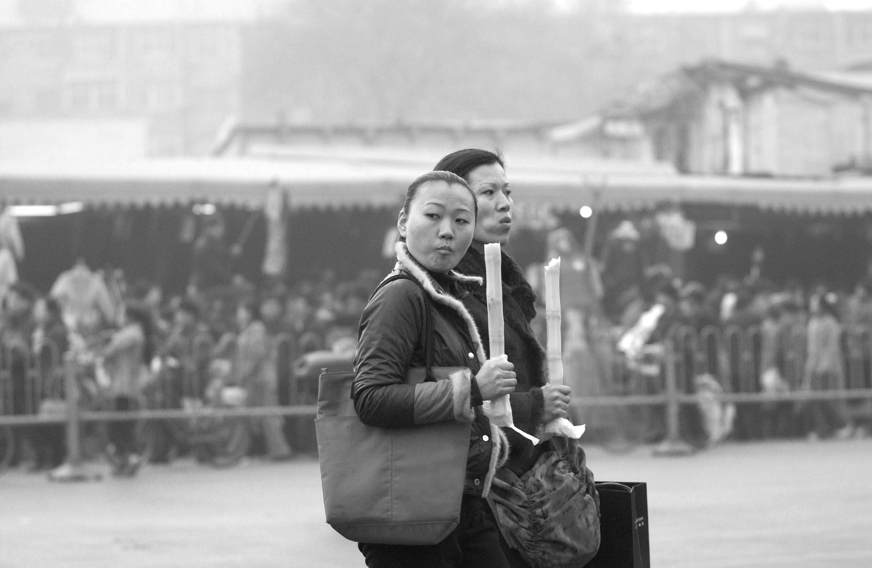 郑州记忆：穿越20载的郑州摩登女郎 从甘蔗到奶茶街拍道具已上新