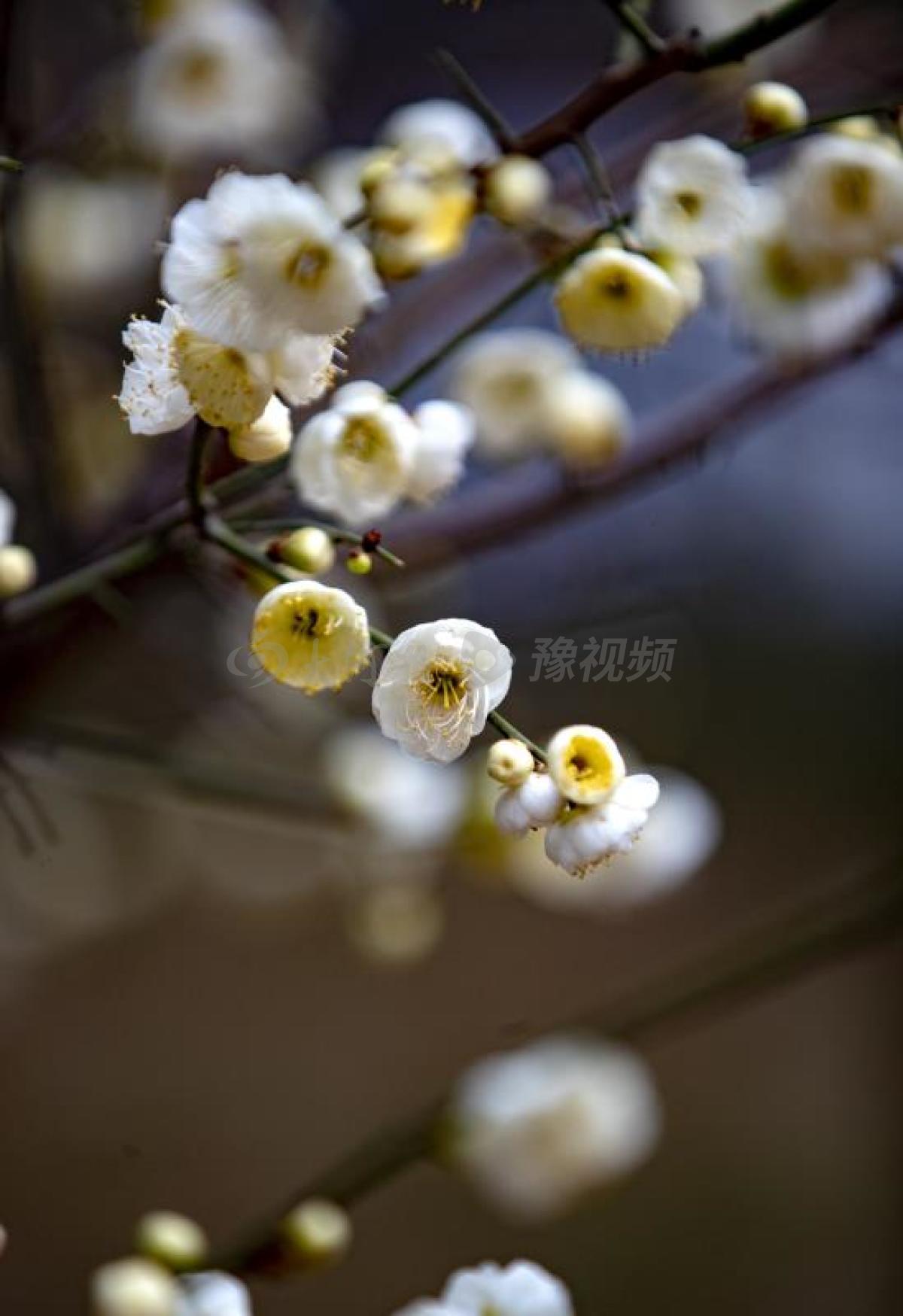 郑州街拍组图：春风拂面，你好三月