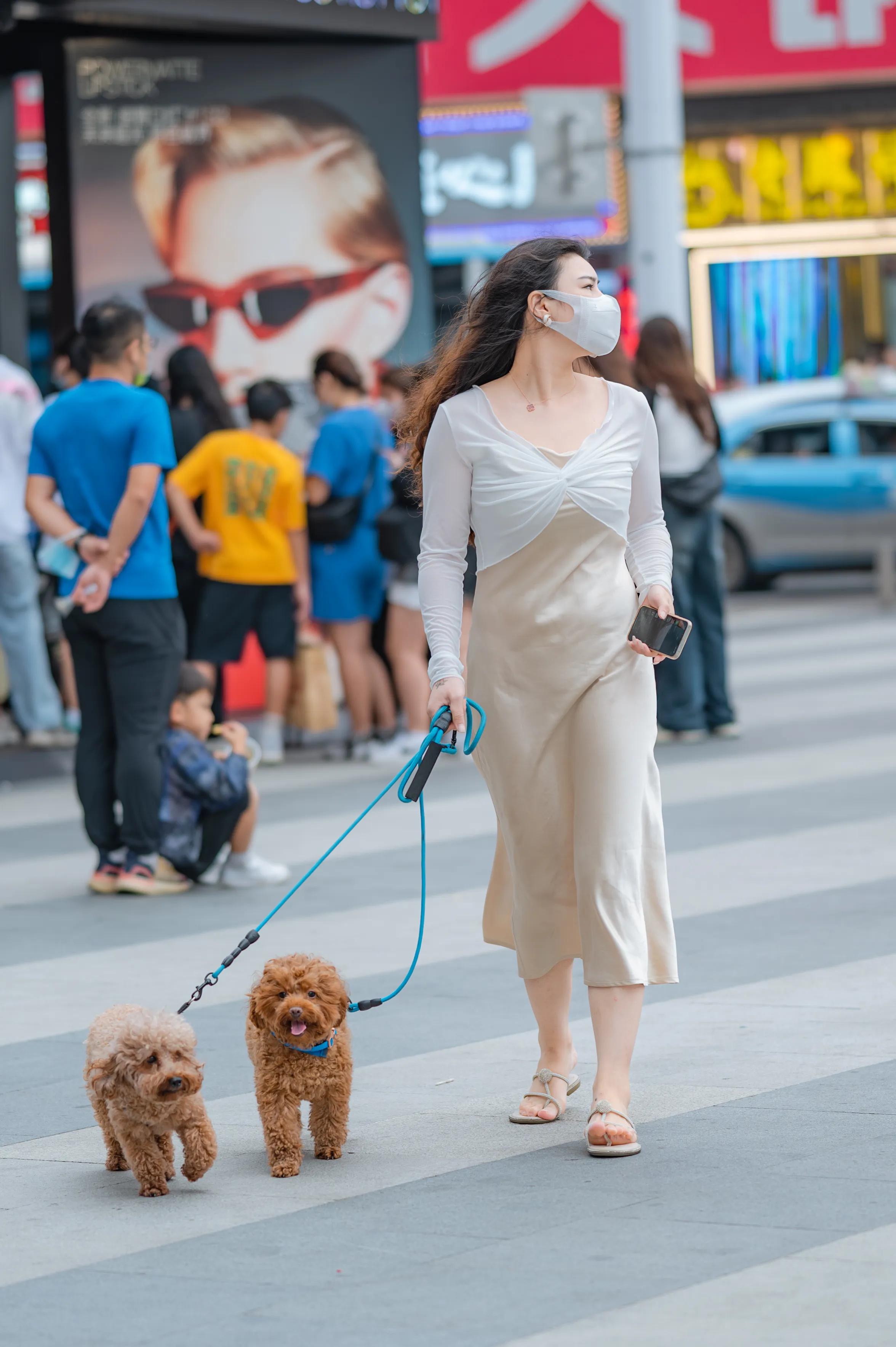 长沙街拍｜在黄兴路上遛狗的裙装姐姐，悠闲自在