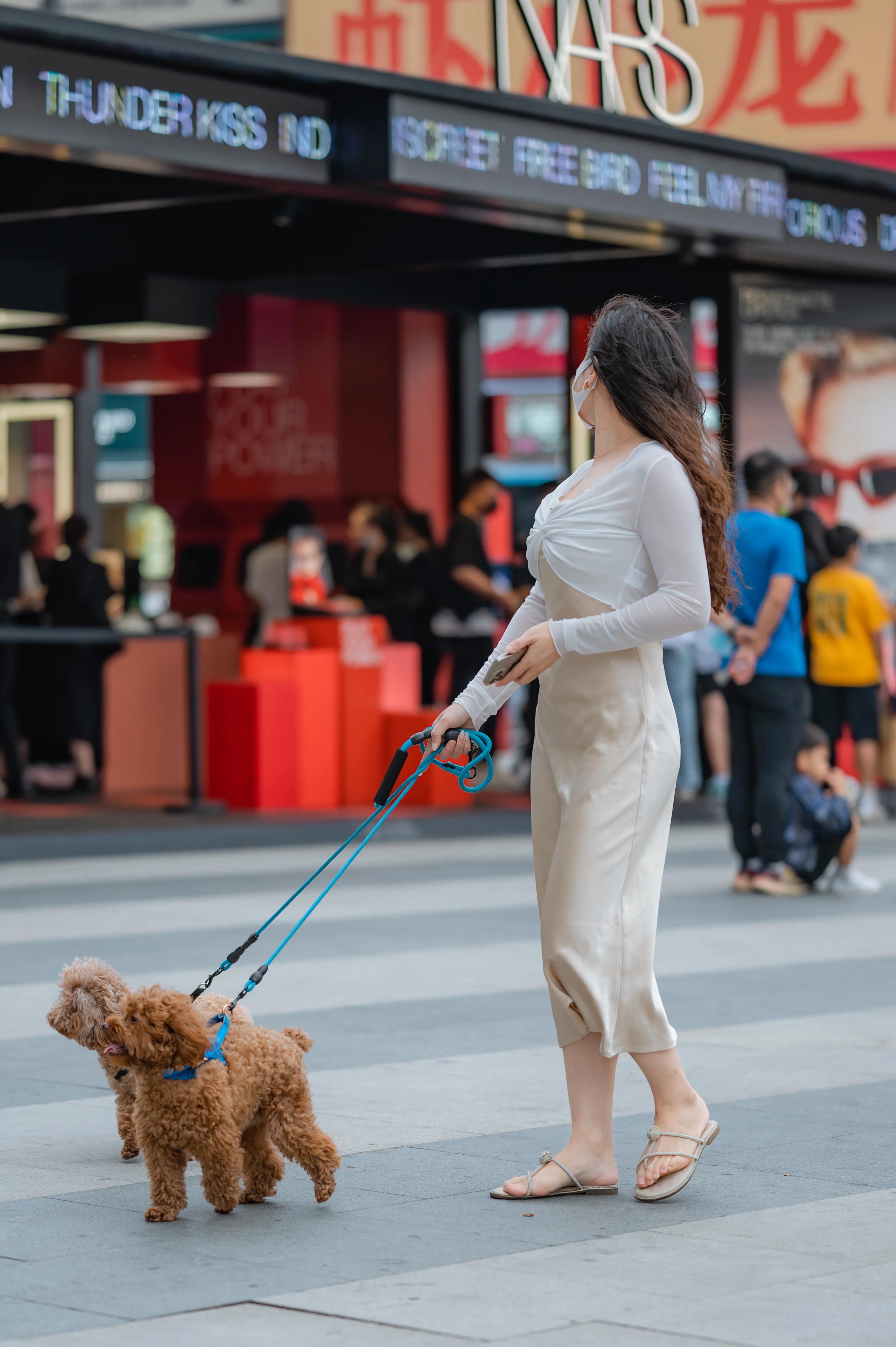 长沙街拍｜在黄兴路上遛狗的裙装姐姐，悠闲自在