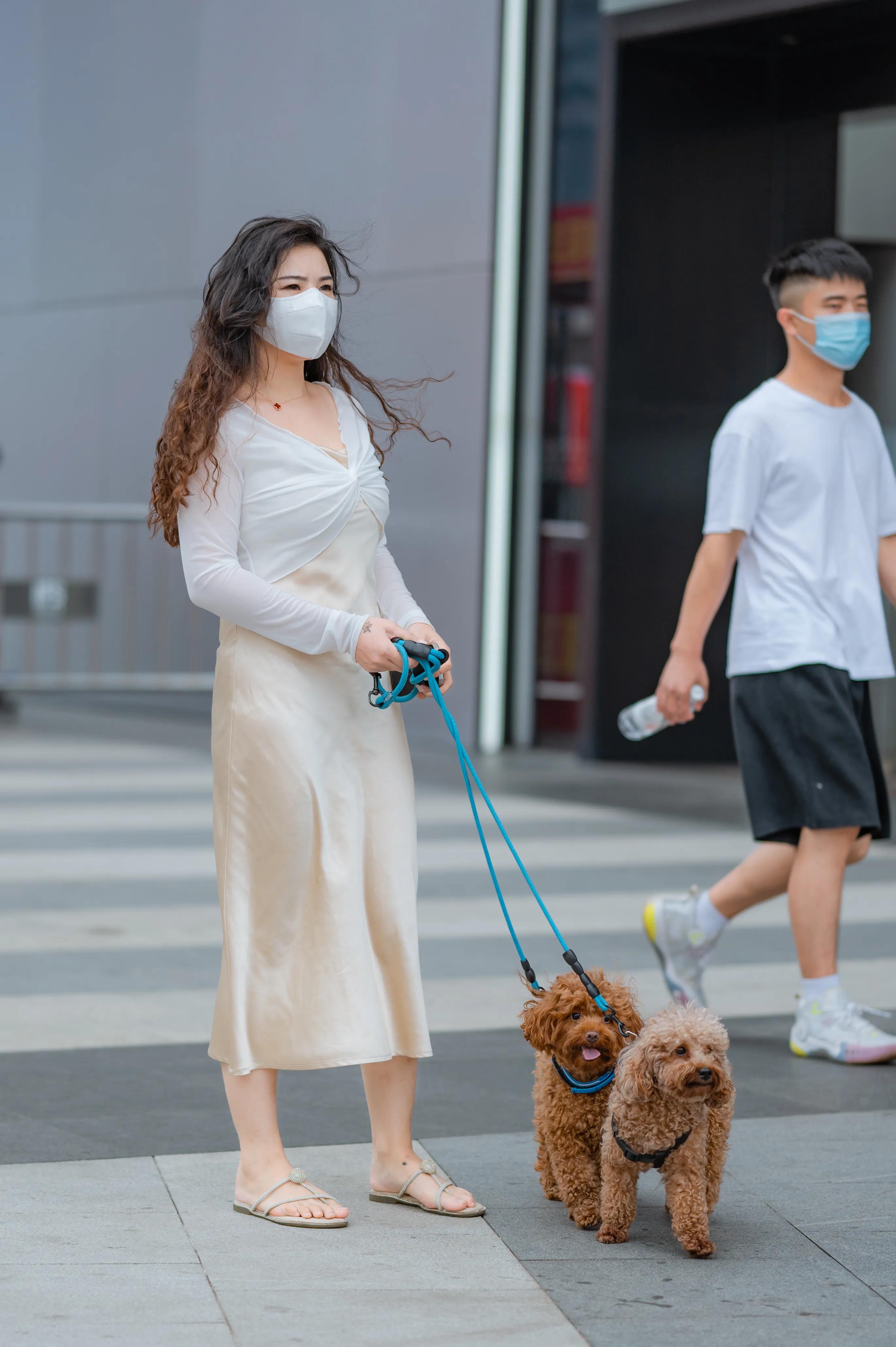 长沙街拍｜在黄兴路上遛狗的裙装姐姐，悠闲自在