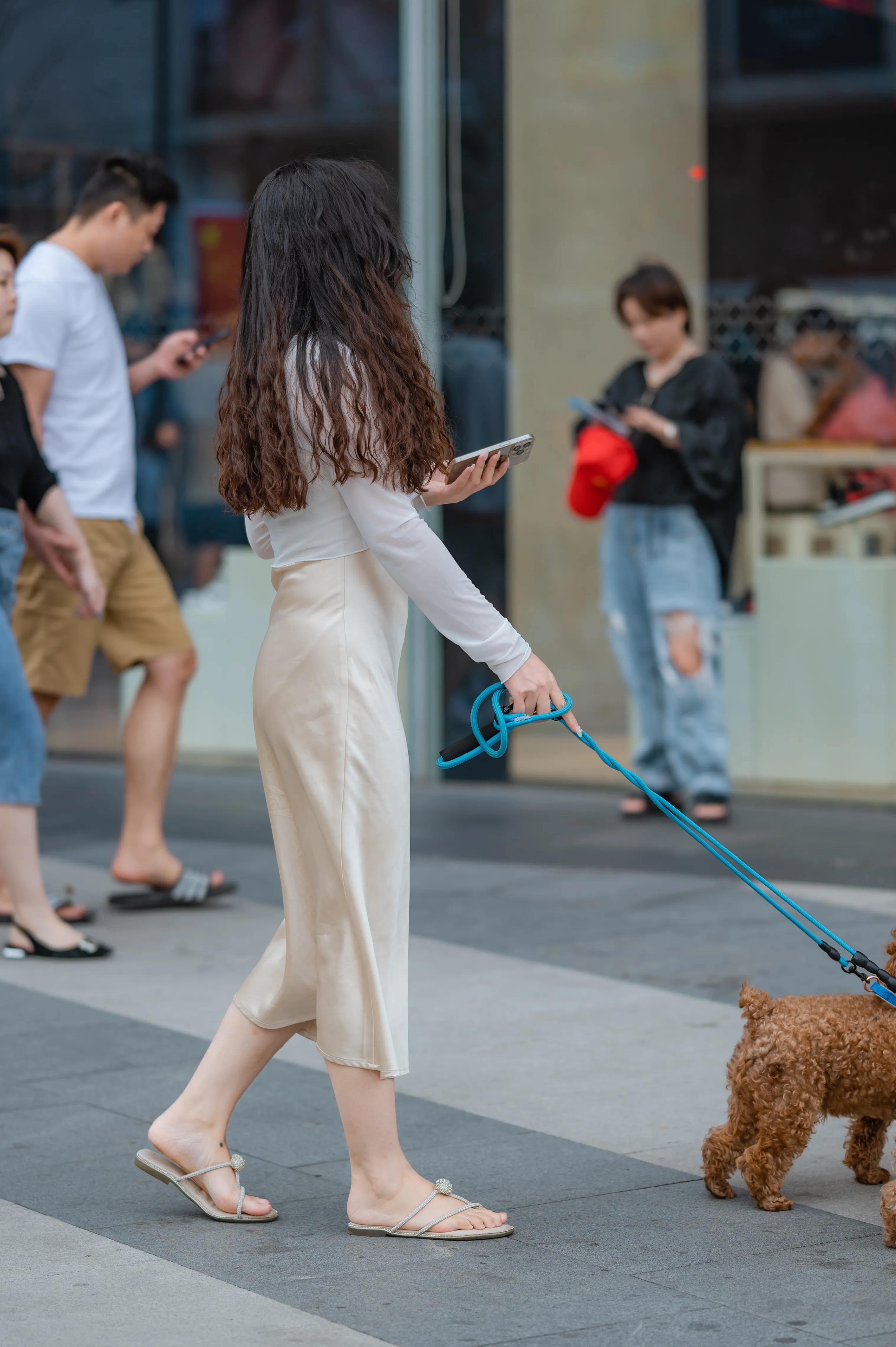 长沙街拍｜在黄兴路上遛狗的裙装姐姐，悠闲自在