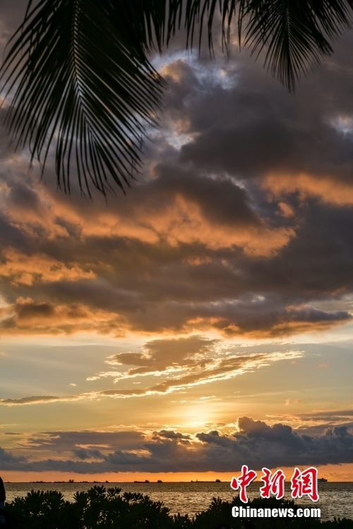 夕阳下的海口风景如画