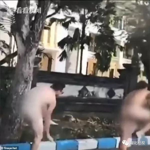 5名澳洲游客巴厘岛街头喝酒耍流氓，当街撒尿裸跑