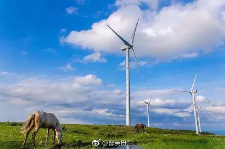 清明小长假，贵阳最美踏青地都给你整理出来啦，走起！