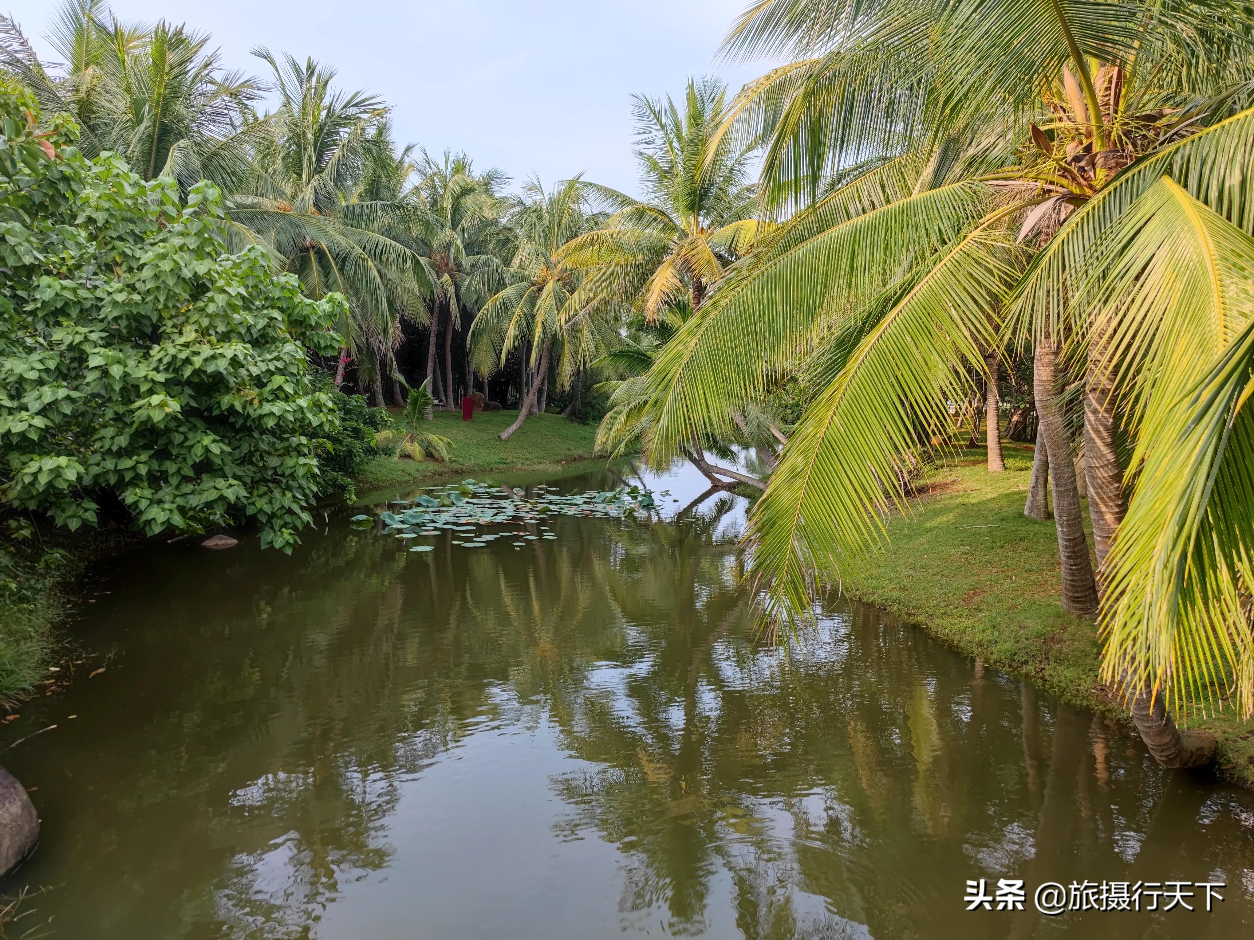 海南海口《白沙门公园》绿化丰富、儿童娱乐、海滩沐浴，应有尽有