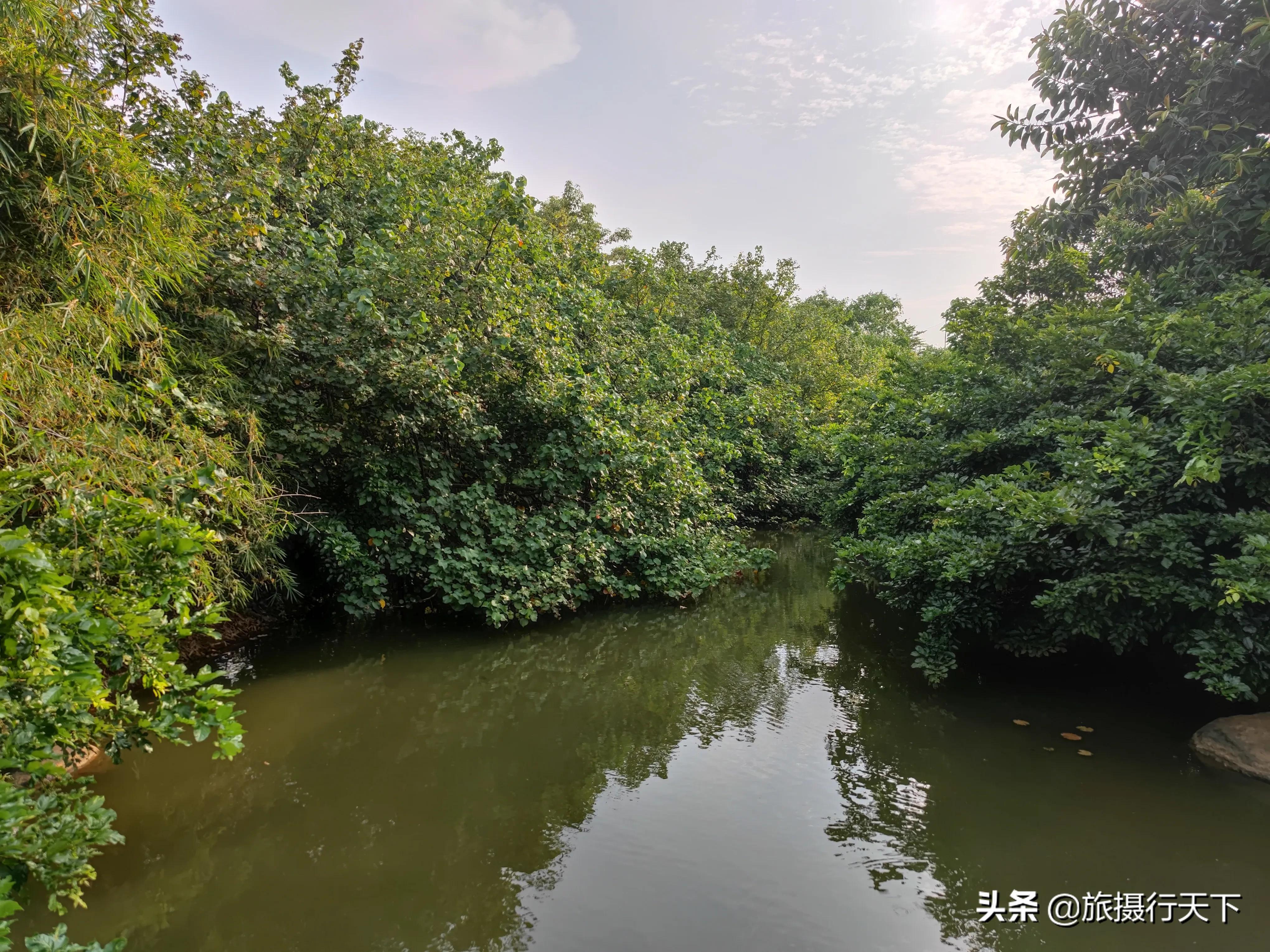 海南海口《白沙门公园》绿化丰富、儿童娱乐、海滩沐浴，应有尽有