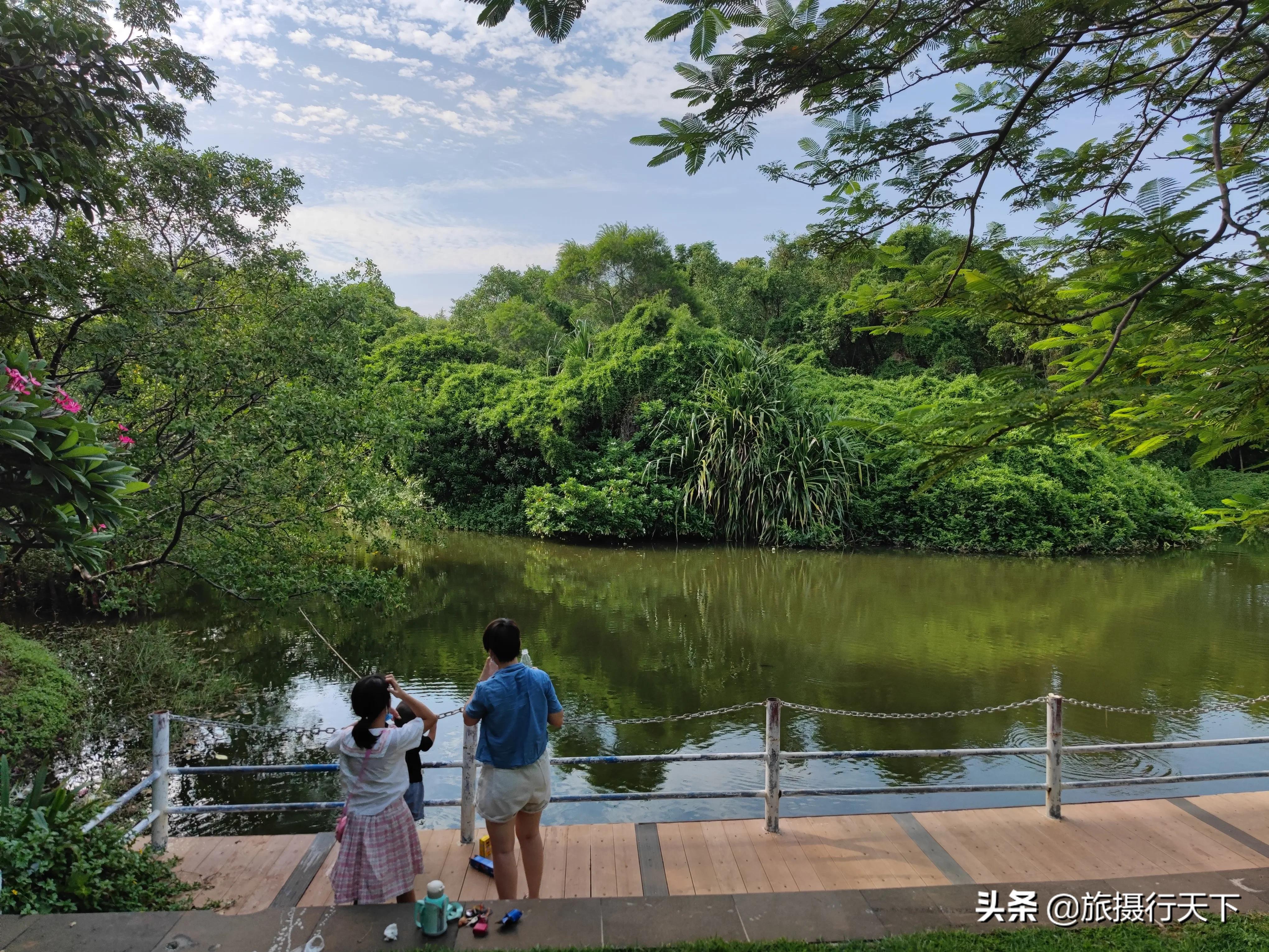 海南海口《白沙门公园》绿化丰富、儿童娱乐、海滩沐浴，应有尽有