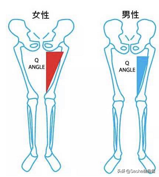 久宅家中常坐不动，大腿肉肉开始疯长，针对大腿内侧赘肉瘦身法