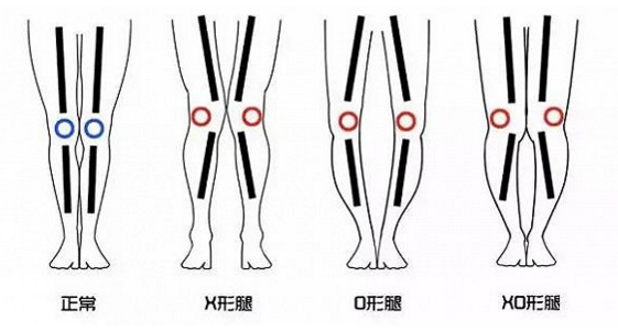 陈学冬很O小热巴是X大幂幂是XO 所以你们都该锻炼一下青蛙趴