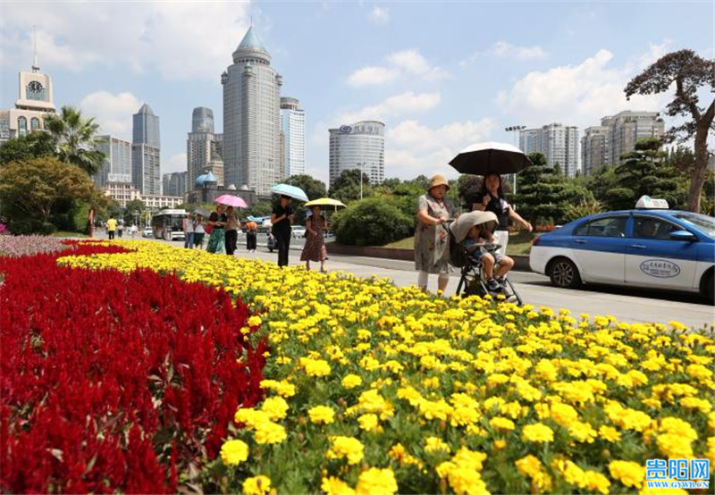 「图集」花团锦簇 贵阳街头国庆节日氛围渐浓