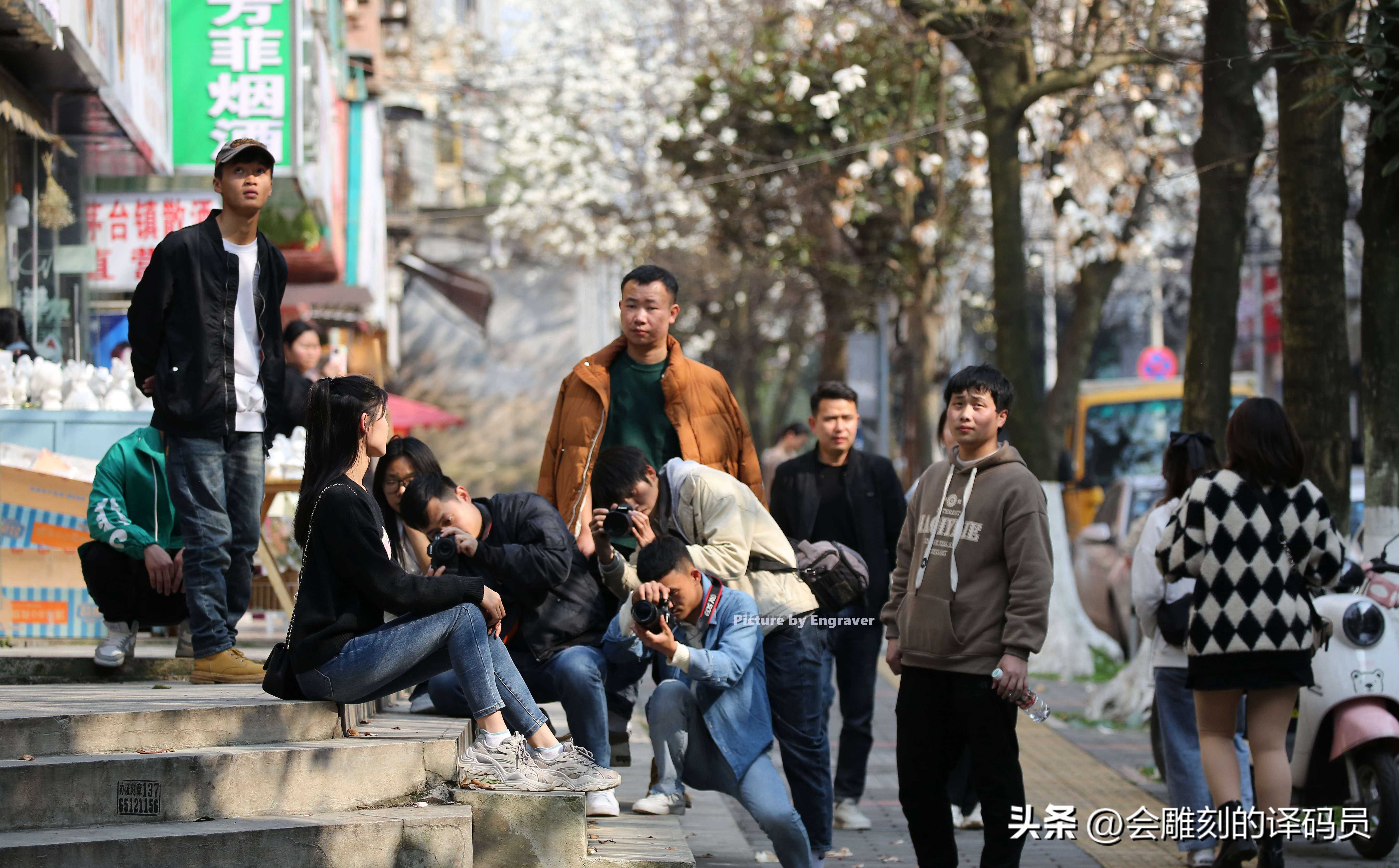 春日繁花开 贵阳有条玉兰街