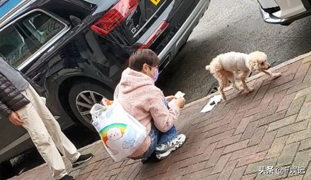 陈法蓉和父亲一起带爱犬去看兽医 有公德心亲自清理爱犬的大小便